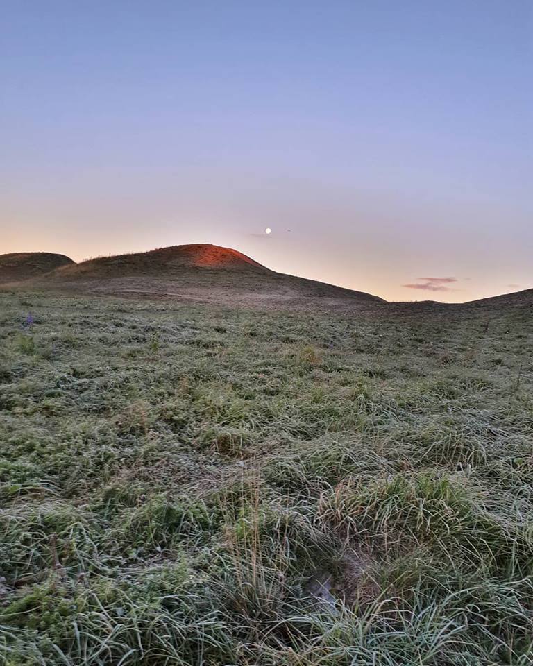 Gamla Uppsala museum – där kung­shögarna berättar