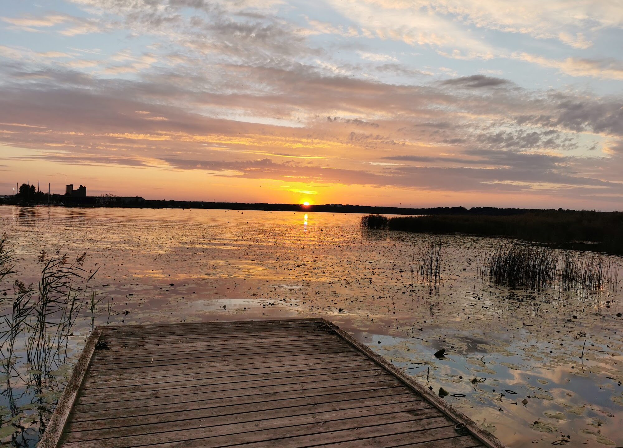 T-Udden Naturreservat — Gävles gömda naturpärla