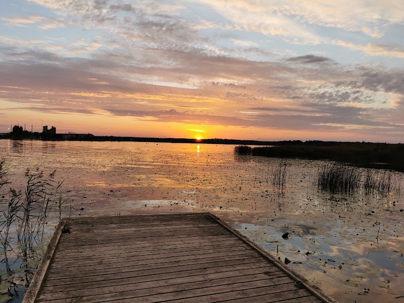 T-Udden Naturreservat — Gävles gömda naturpärla