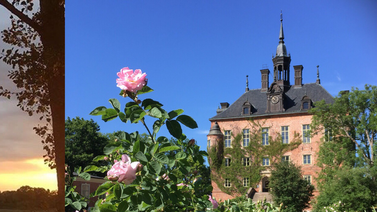 Wiks slott — hotell, restaurang och event vid Uppsalas vatten